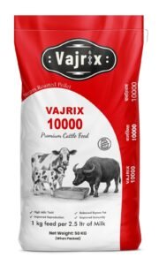 Vajrix 10000