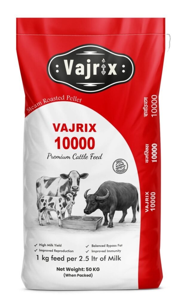 Vajrix 10000
