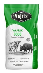 Vajrix 8000
