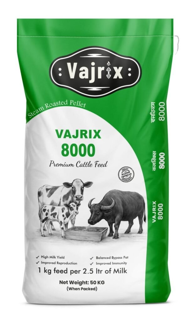 Vajrix 8000