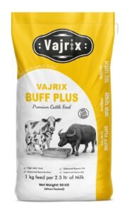 Vajrix buff plus