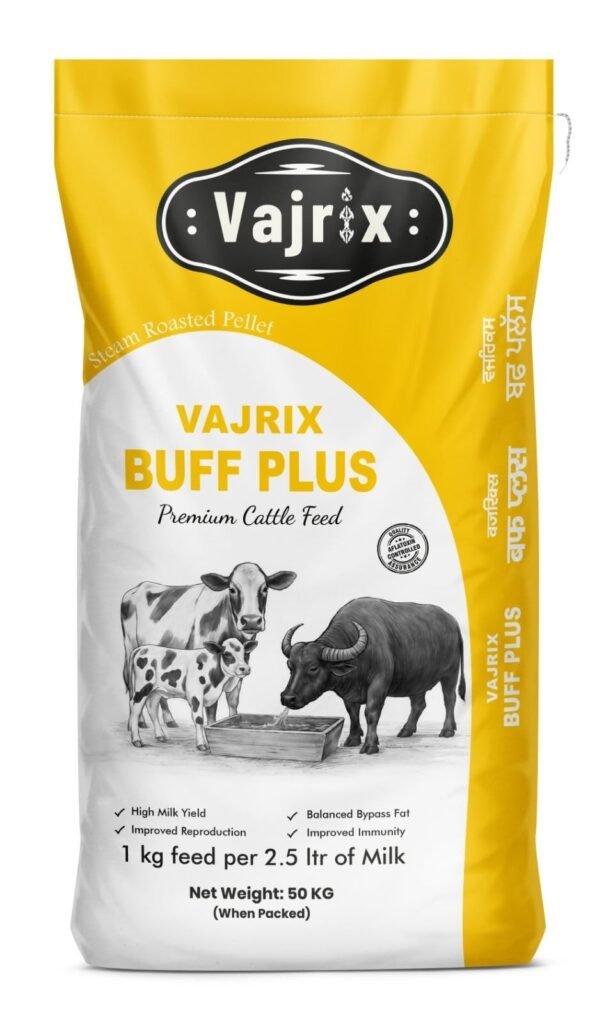Vajrix buff plus