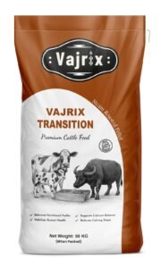 Vajrix Transition Plus