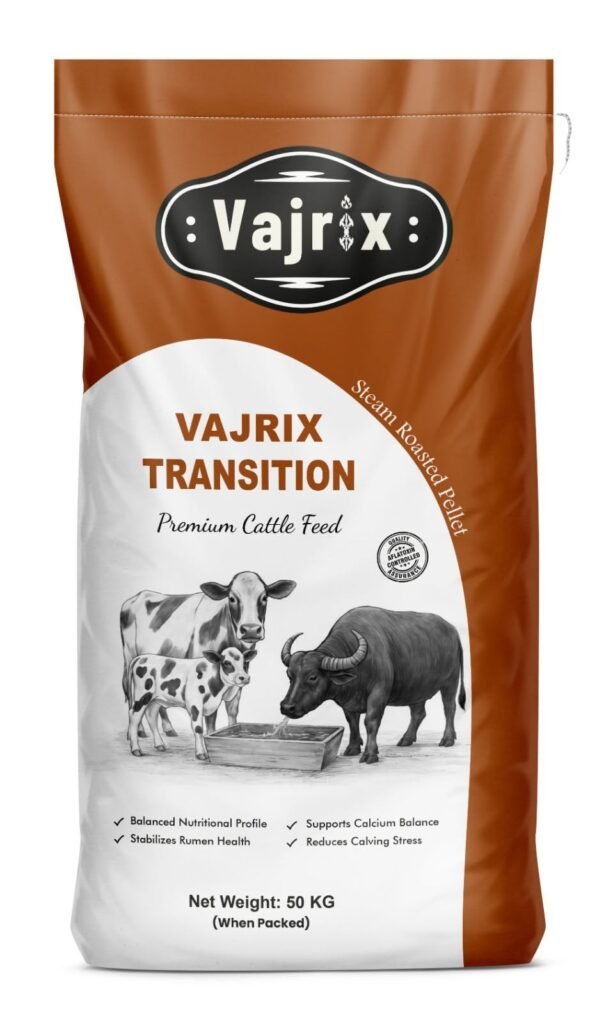 Vajrix Transition Plus